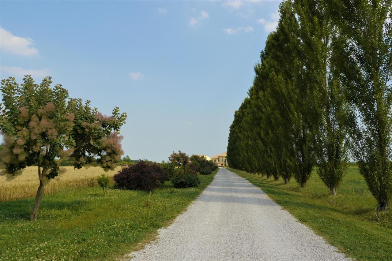 Millefiori La Corte Delle Rose Rovigo Exteriér fotografie